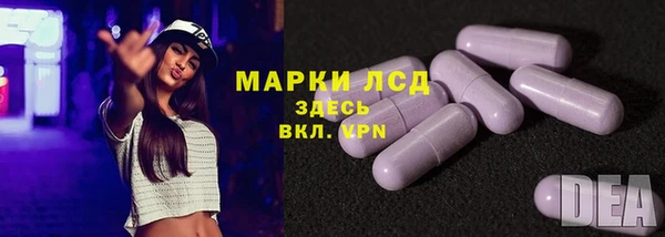 стаф Покачи