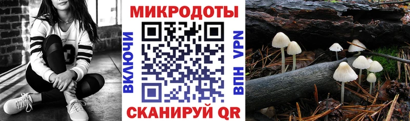 кракен как войти  Почеп  Галлюциногенные грибы ЛСД  где можно купить  